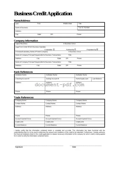 Blank Business Credit Application PDF Form